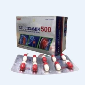 GLUCOSAMIN 500